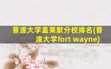 普渡大学盖莱默分校排名(普渡大学fort wayne)